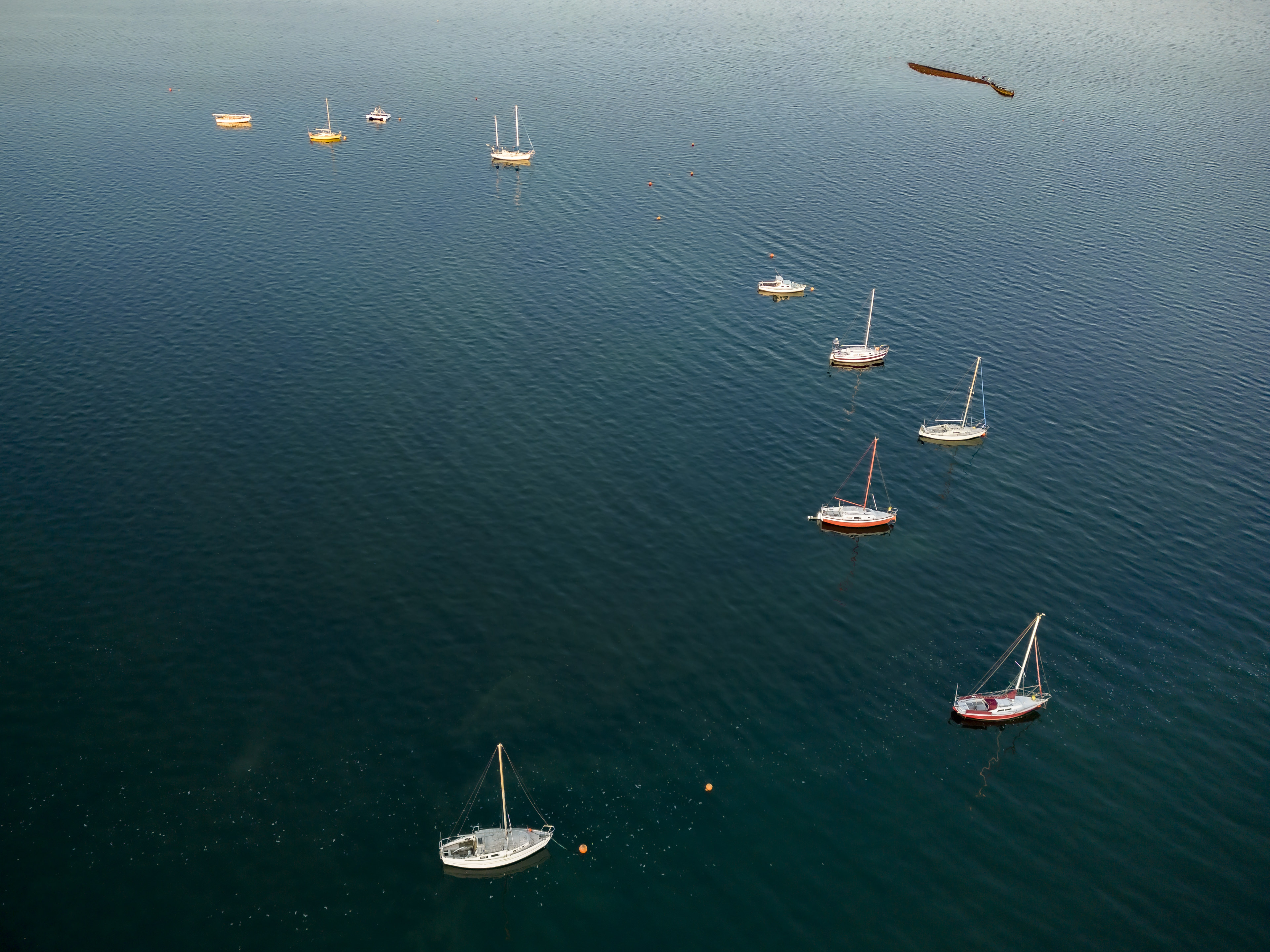 Hastings Harbour